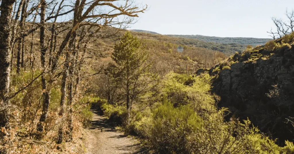 Cane-Creek-Valley-Nature-Preserve-Trail