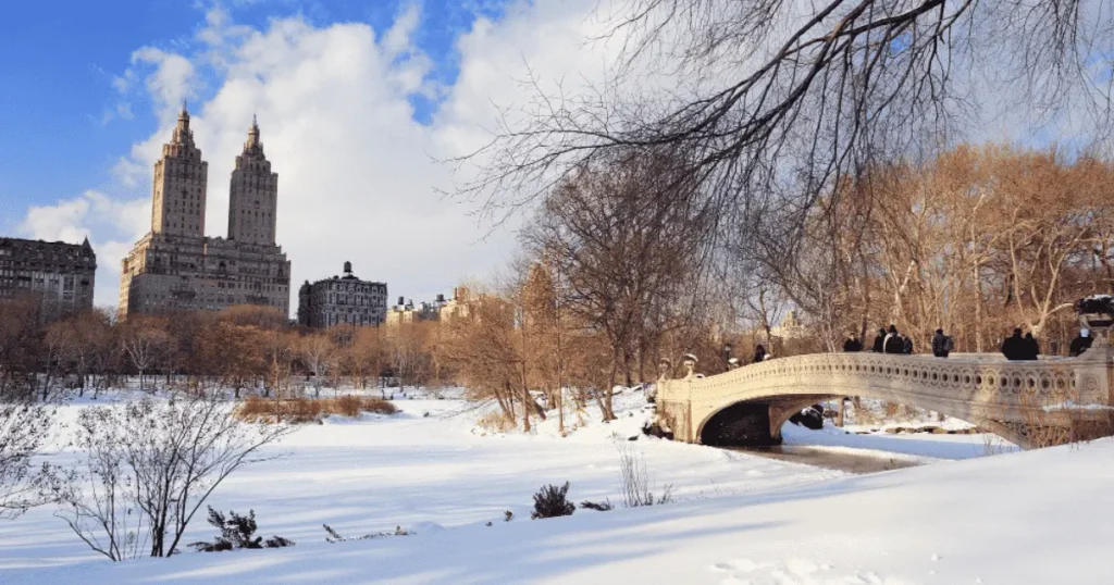 Cityscapes Shimmering in Snow: New York City and Chicago