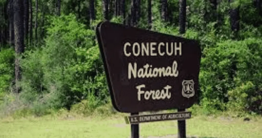 Conecuh-National-Forest-sign-board