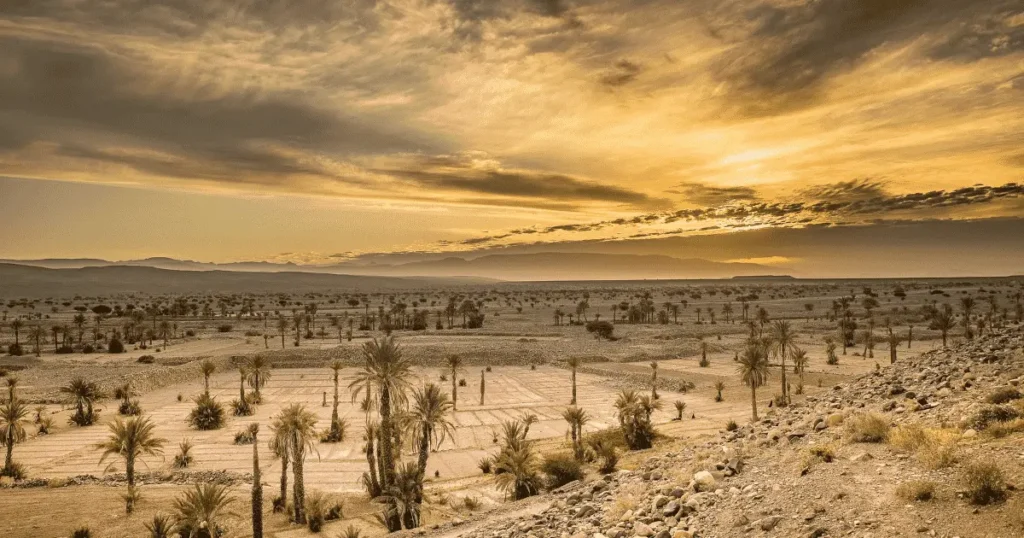 Desert Oasis Arizona and California