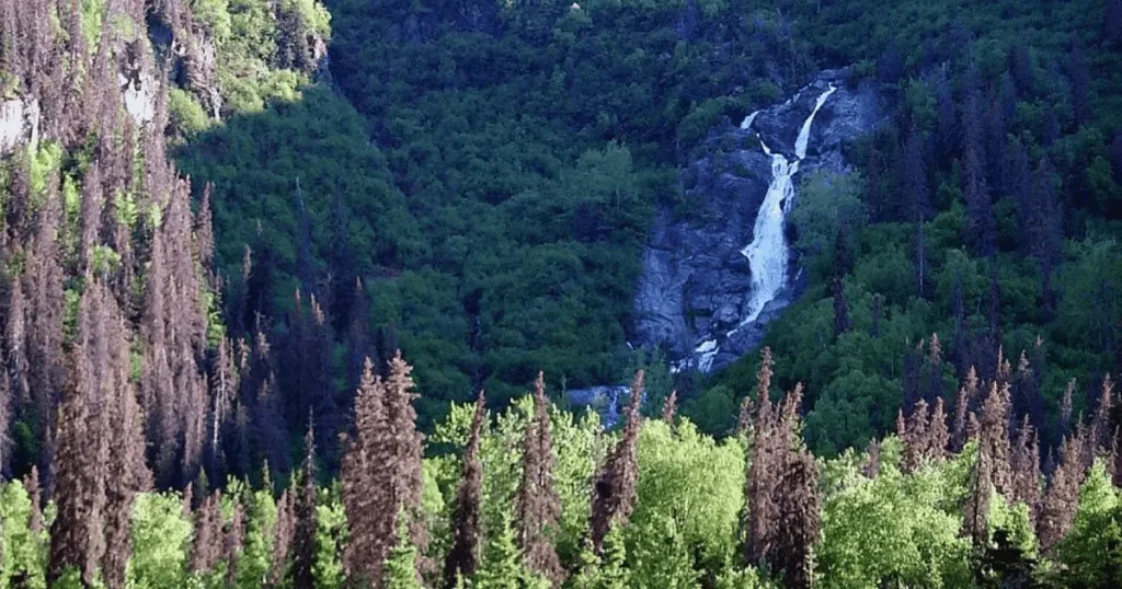 Overview of Eagle River Nature Center