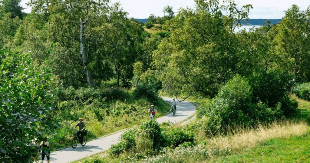 Trails-and-hiking-in-Kincaid-Park