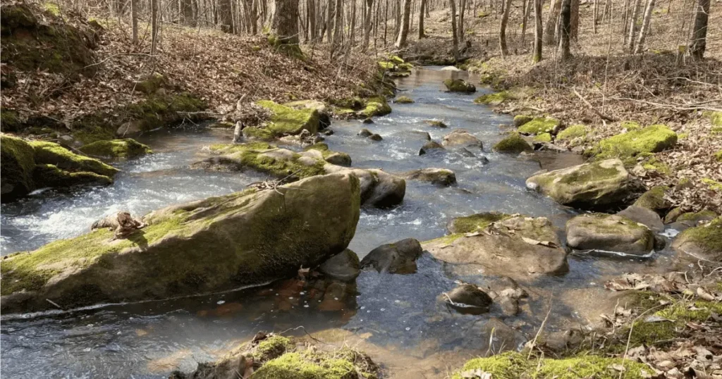 Cane Creek Valley Nature Preserve