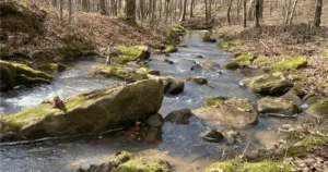 Read more about the article Explore the Majestic Wonders of Cane Creek Canyon Nature Preserve