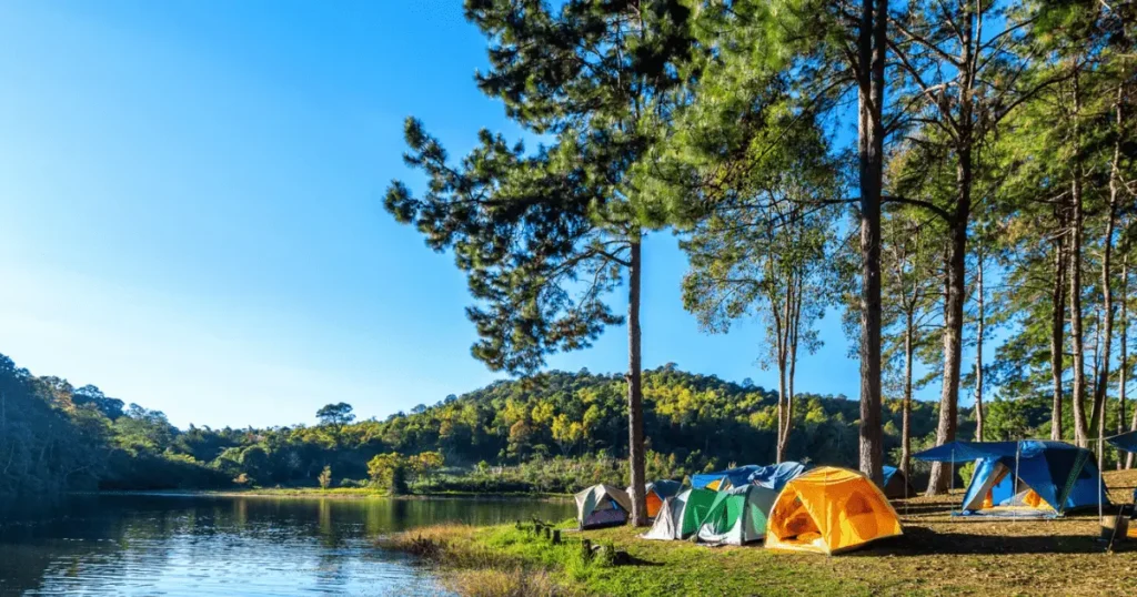 Conecuh-National-Forest-Camping