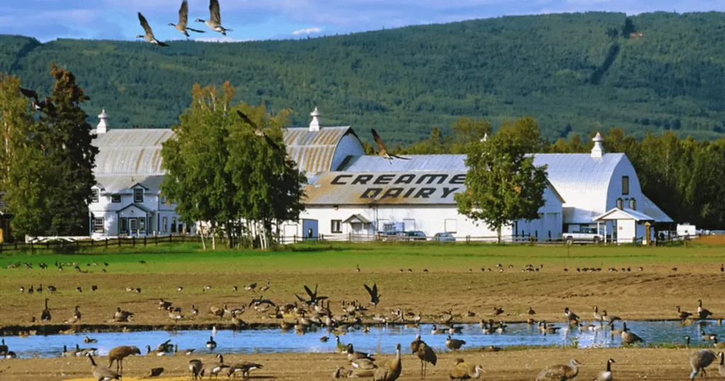 Creamers-Field-Migratory-Waterfow-Refuge