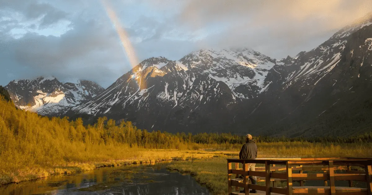 You are currently viewing Eagle River Nature Center: Nature’s Majesty