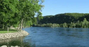 Read more about the article Bull Shoals-White River State Park