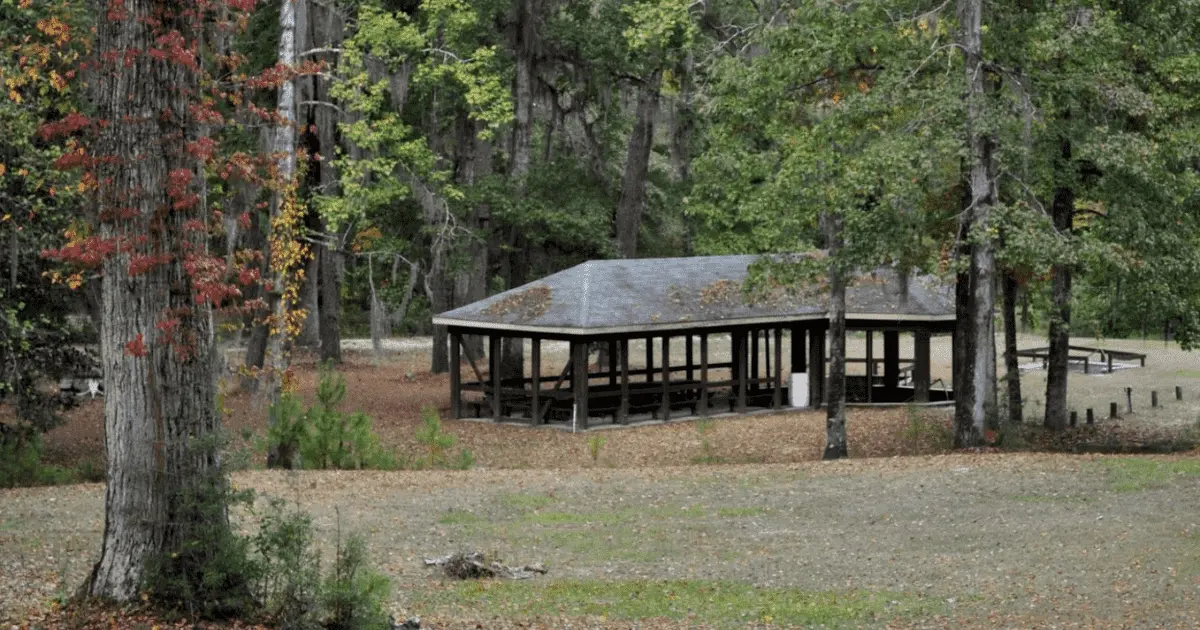 Read more about the article Bladen Springs State Park: For Camping