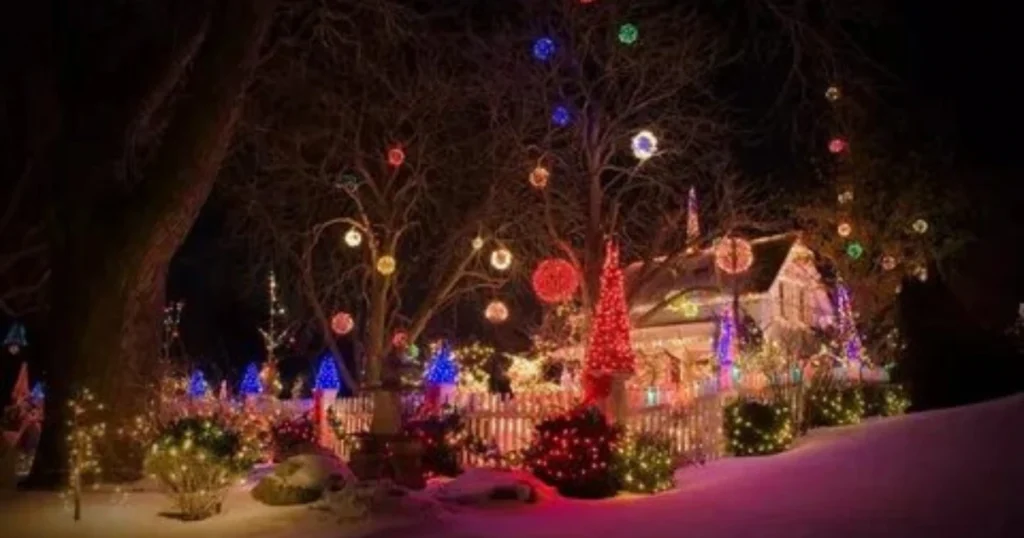 Garvan-Woodland-Gardens-Christmas-Lights