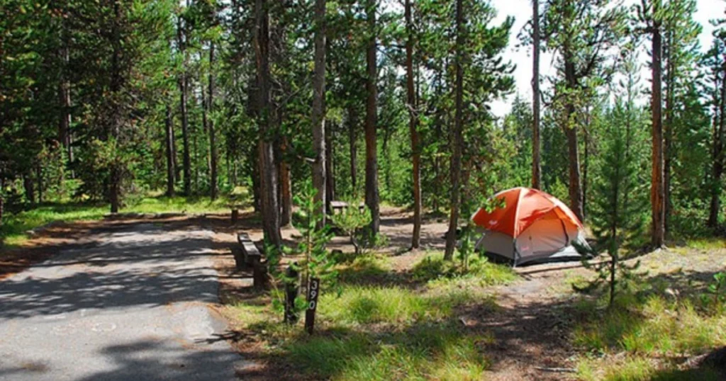 Grant-Village-Campground