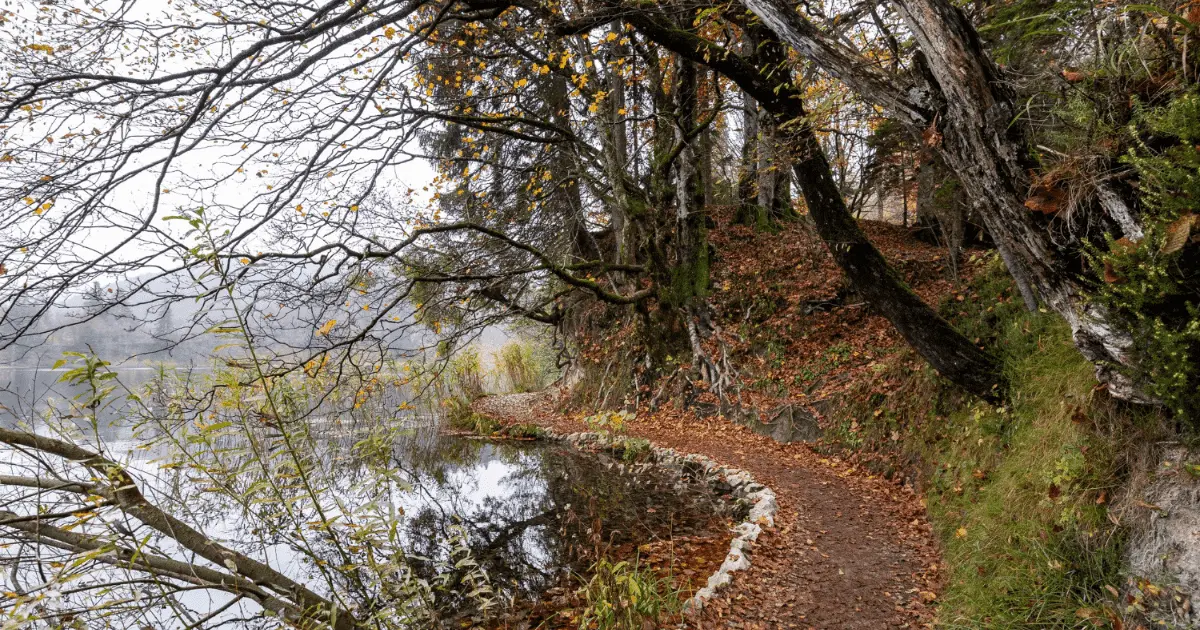 Read more about the article Hatcher Pass Trails