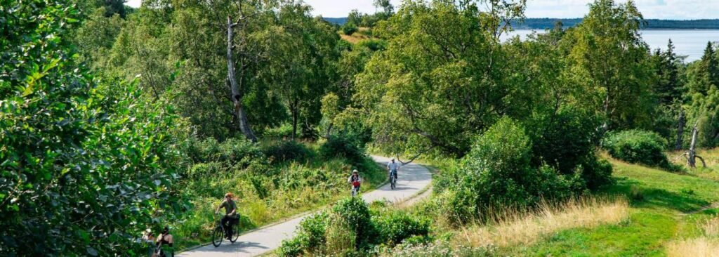 Kincaid Park: A Hiker’s Paradise in Anchorage, Alaska