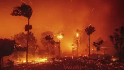 Understanding the 2025 Los Angeles Wildfire: Causes, Impact, and Facts