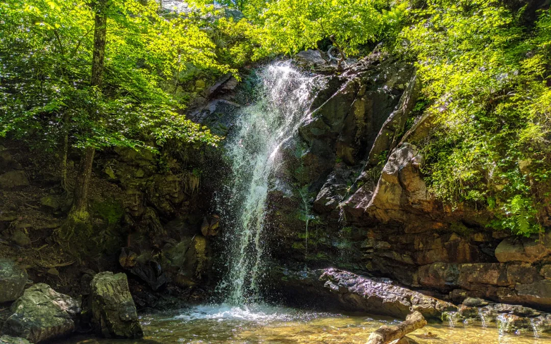 Read more about the article Peavine Falls