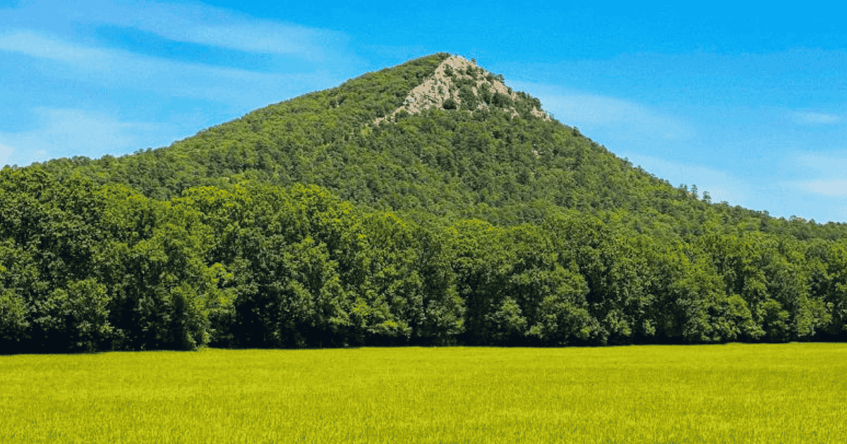 Read more about the article Pinnacle Mountain