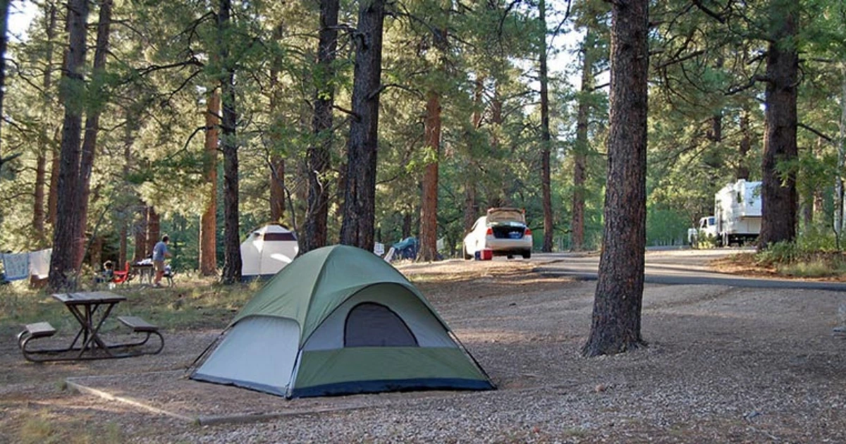 Read more about the article Porcupine Rim Campground