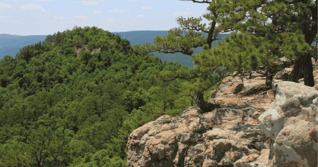 Sam's-Throne-Trail