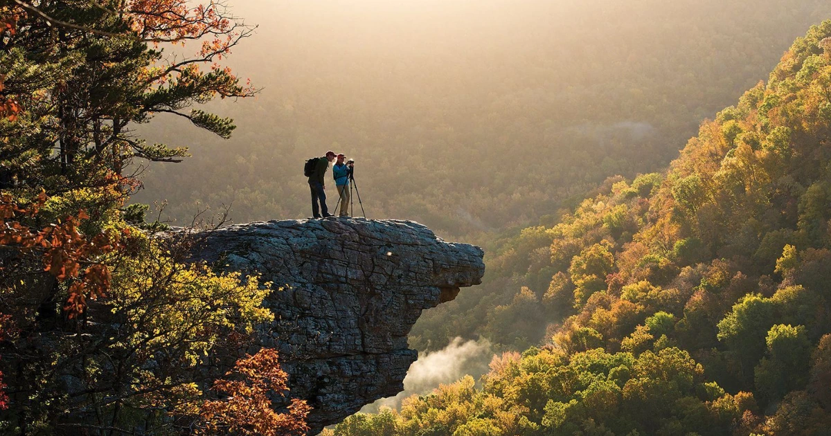 Read more about the article Whitaker Point Trail