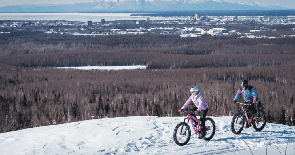 far-northern-Bicentennial-Park