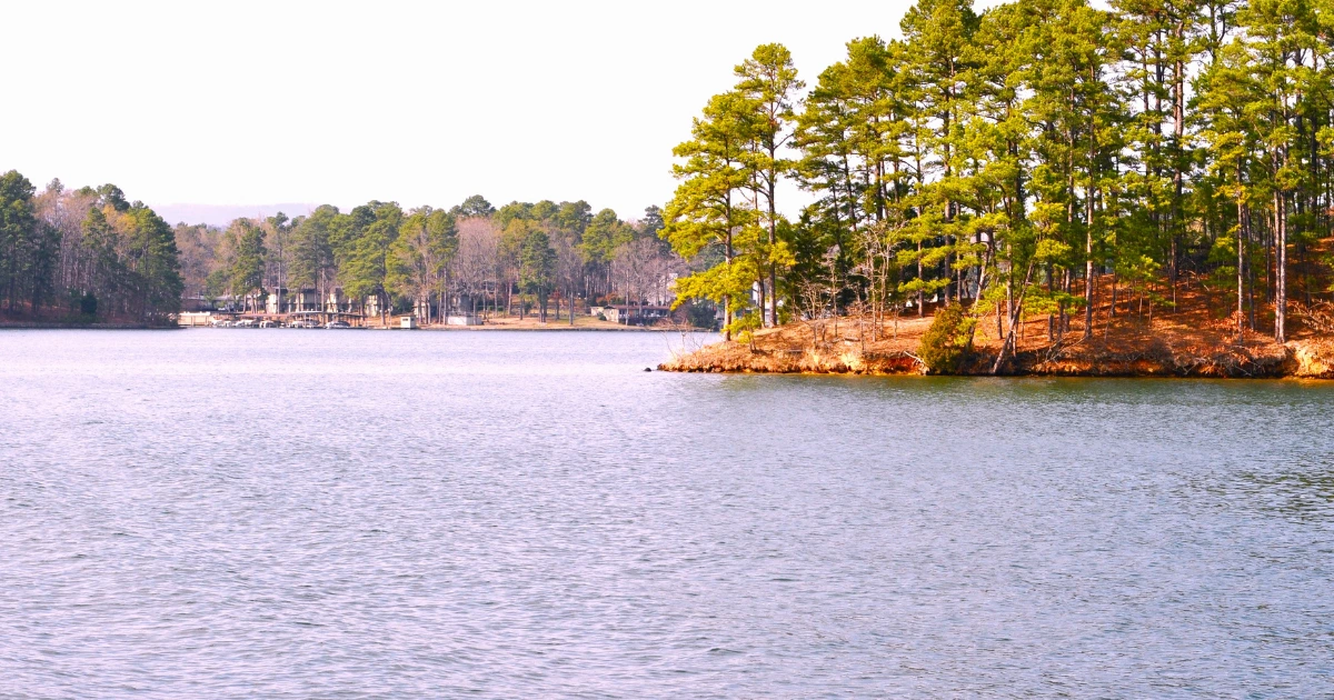 Read more about the article lake catherine state park