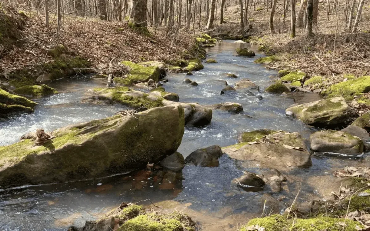 Cane-Creek-Valley-Nature-Preserve