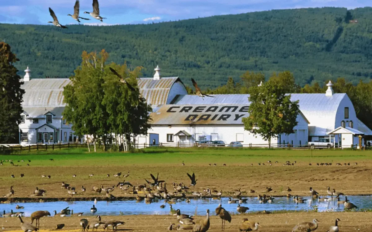 Creamer’s-Field-Migratory-Waterfow-Refuge