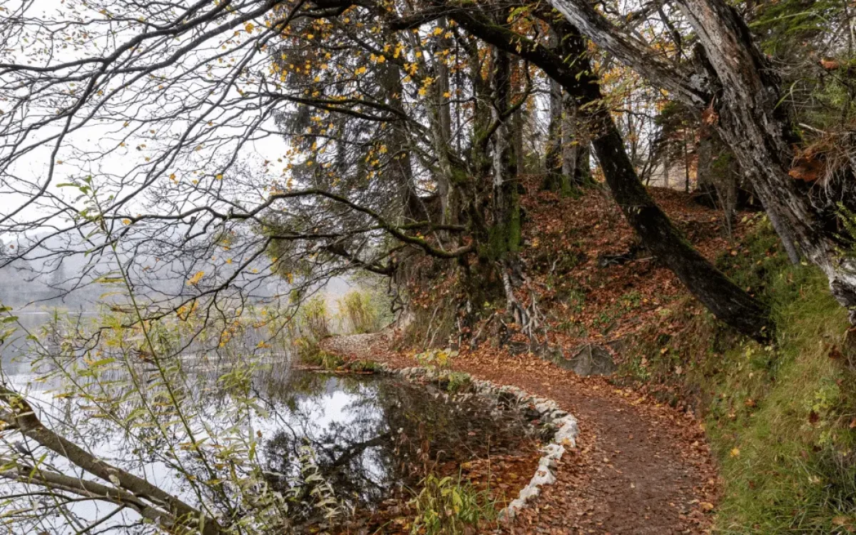 Hatcher-Pass-Trails