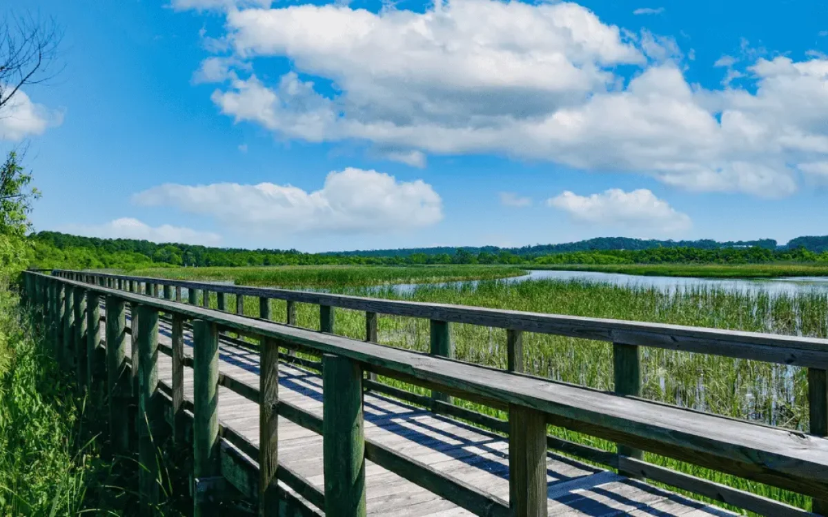 Maher-State-Park-in-Alabama